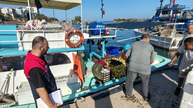 Akçakoca'da av yasağının kalkmasıyla palamut sezonu başladı