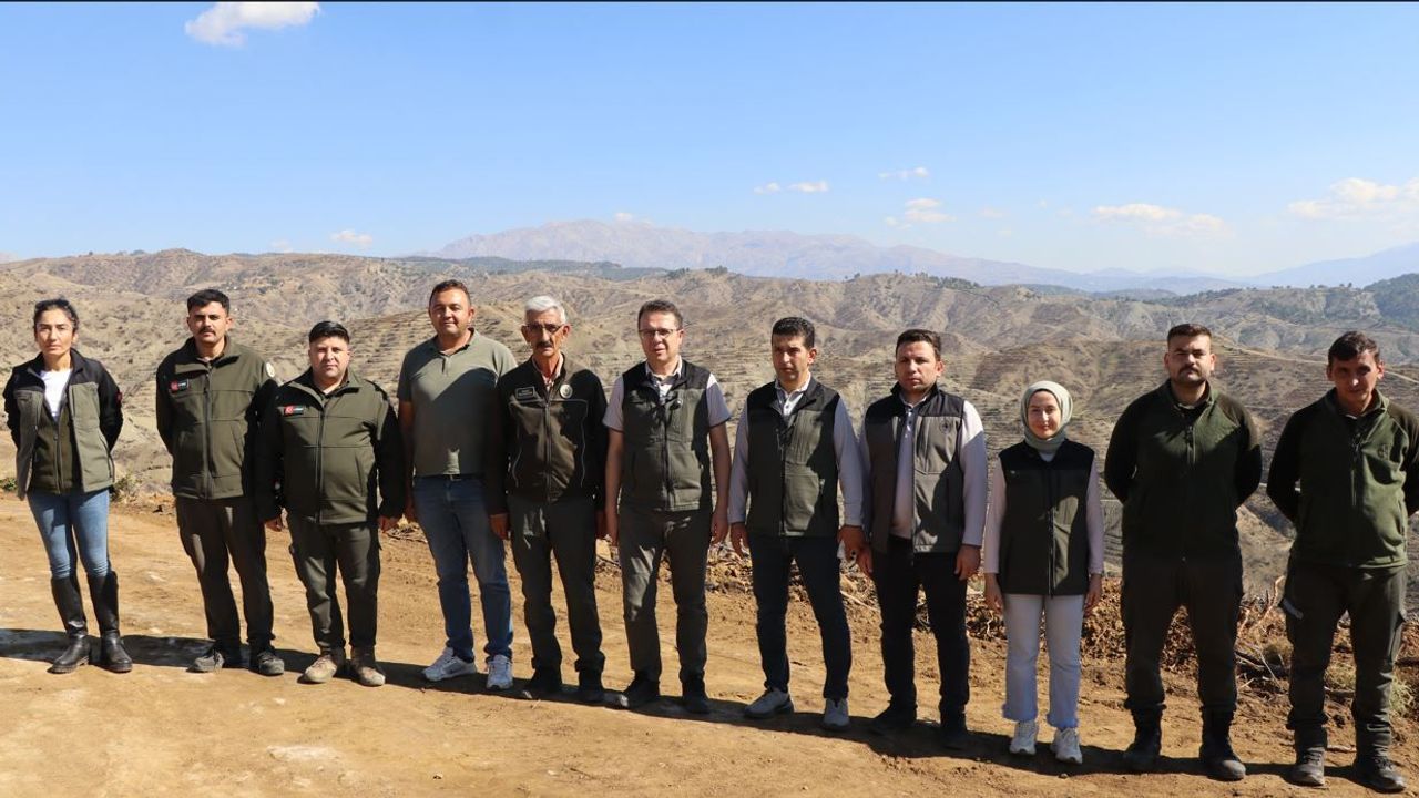Kahramanmaraş'ta yanan ormanlık alana 1 milyon fidan dikilecek
