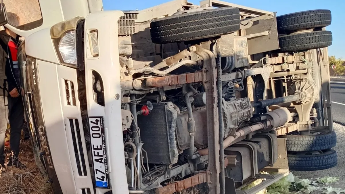 Mardin'de sebze ve meyve yüklü kamyonet şarampole devrildi
