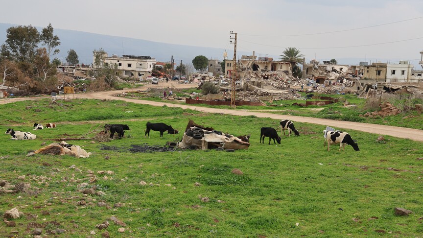 Lübnan'ın güneyindeki 56 bin hektar tarım arazisi İsrail saldırılarından zarar gördü