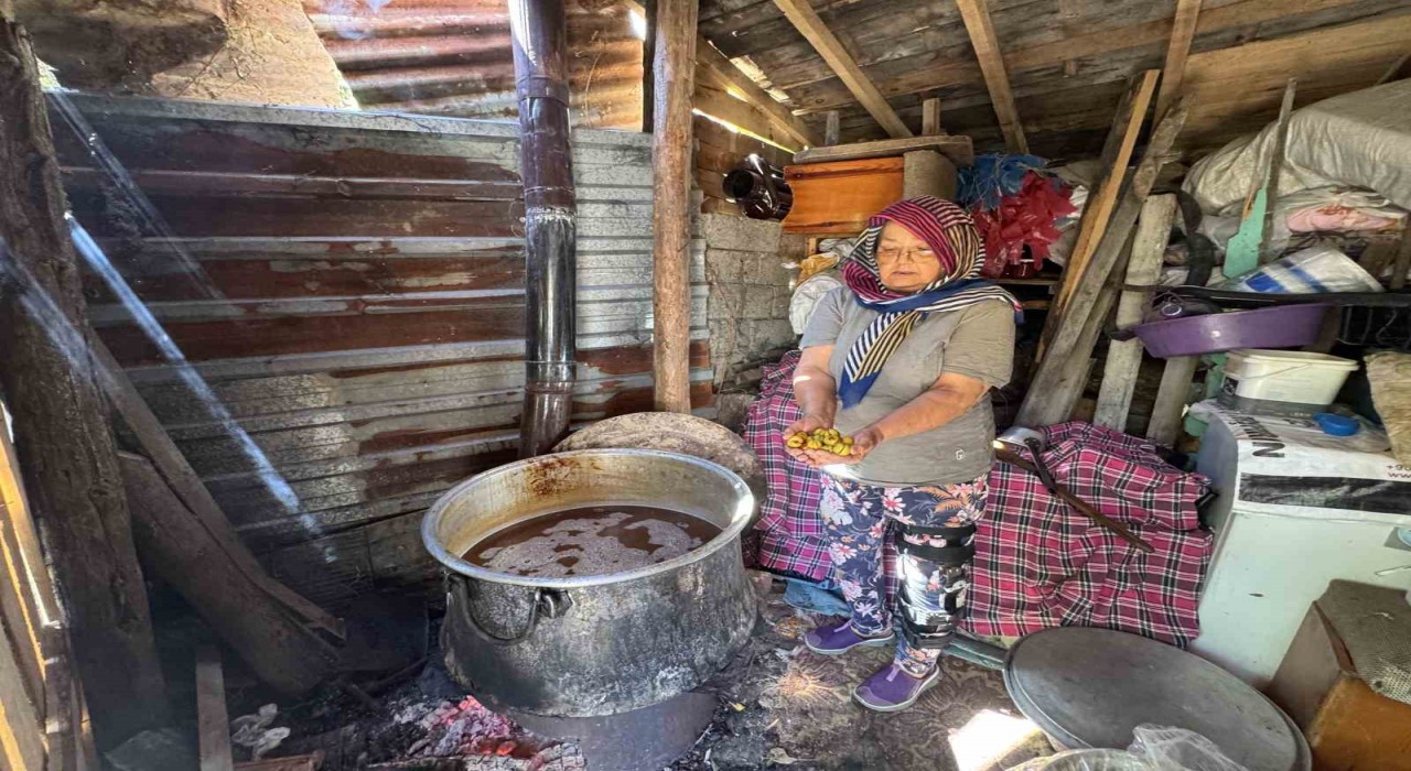 Toros Dağları'nda yetişen taş erikten elde edilen ekşi satışa sunuldu