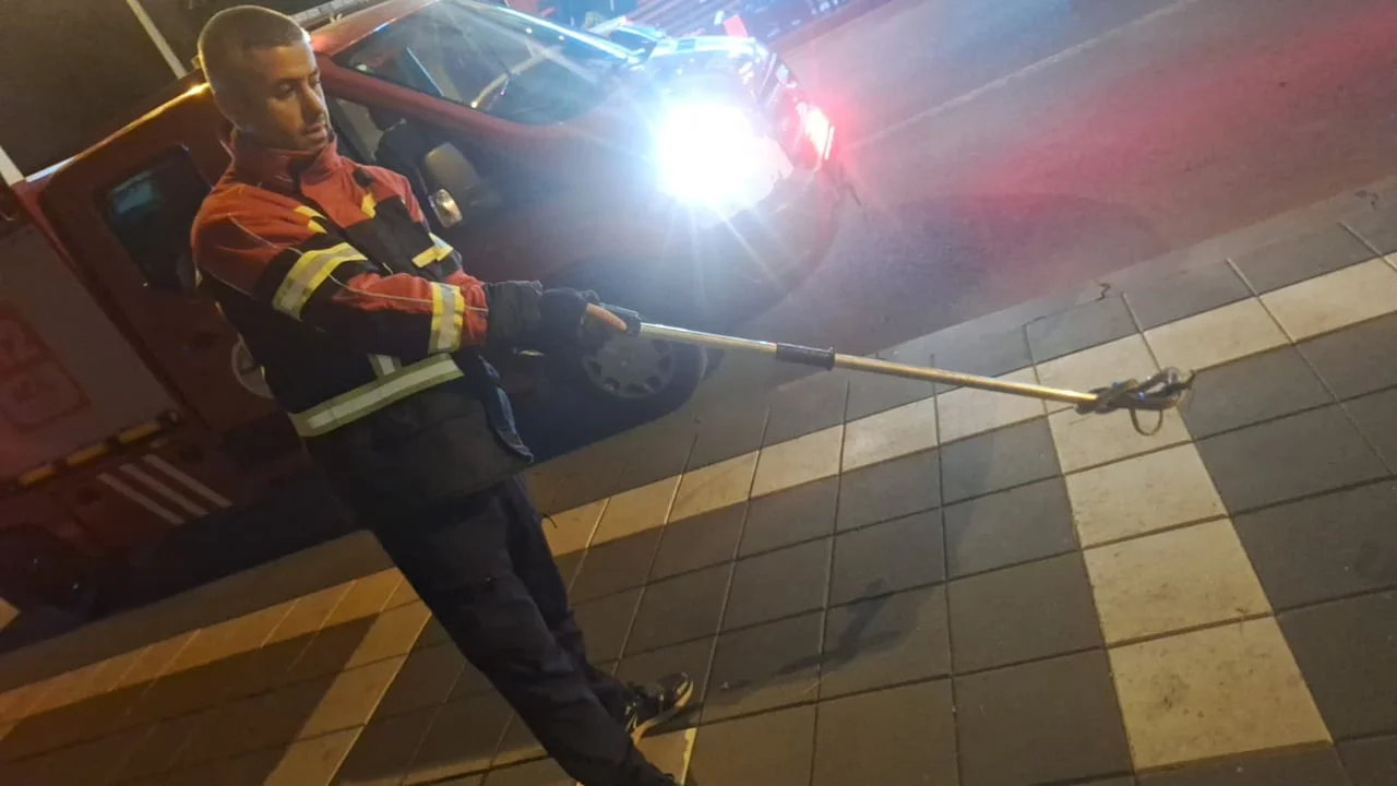 Bingöl'de cami bahçesine giren yılan itfaiye ekiplerince yakalandı