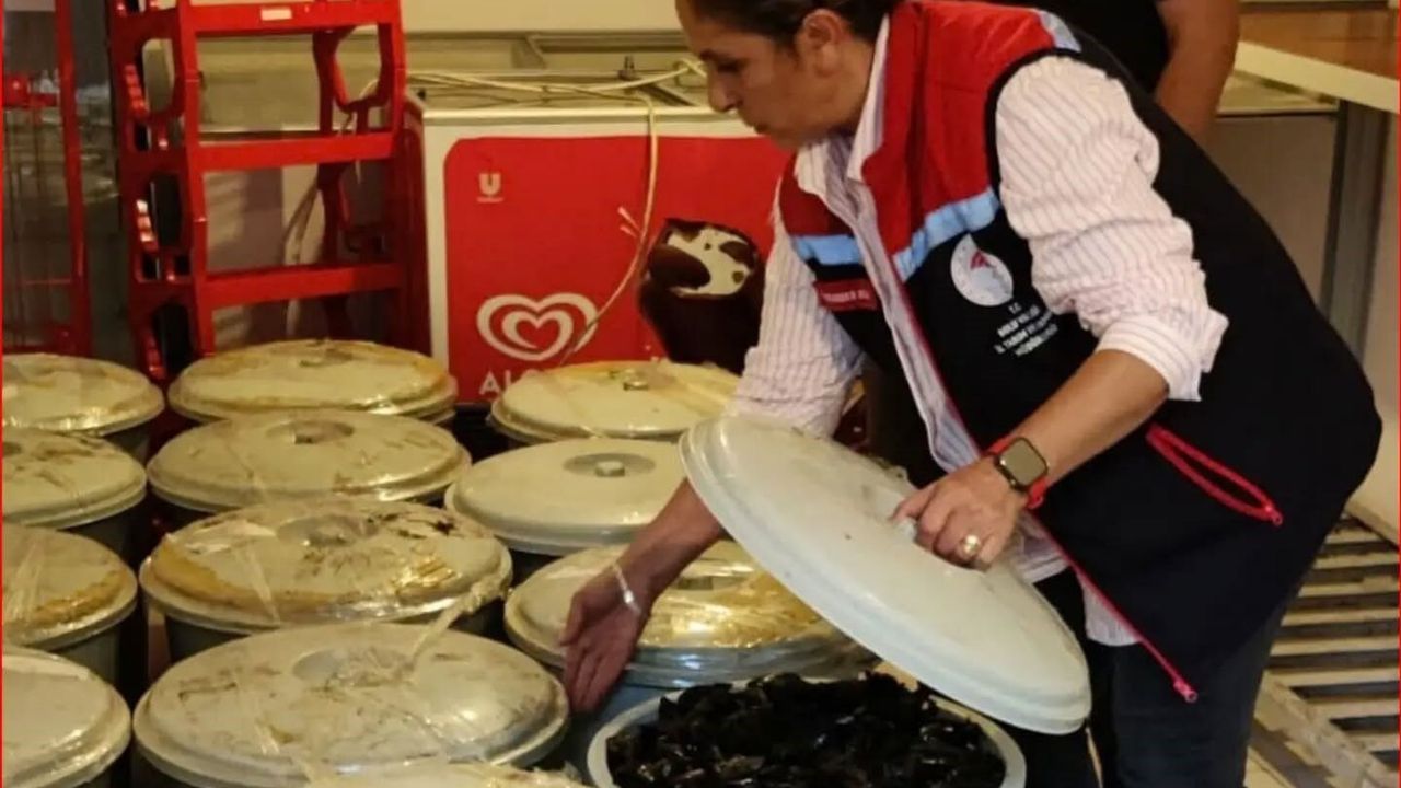 Bolu'da 650 kilo bozuk ve kaçak midye ele geçirildi
