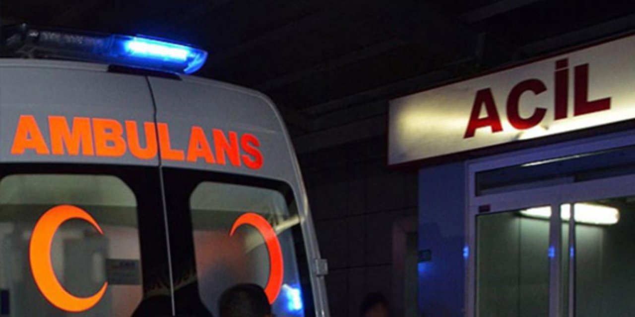 Kars'ta armut toplamak için çıktığı ağaçtan düşen kişi hayatını kaybetti