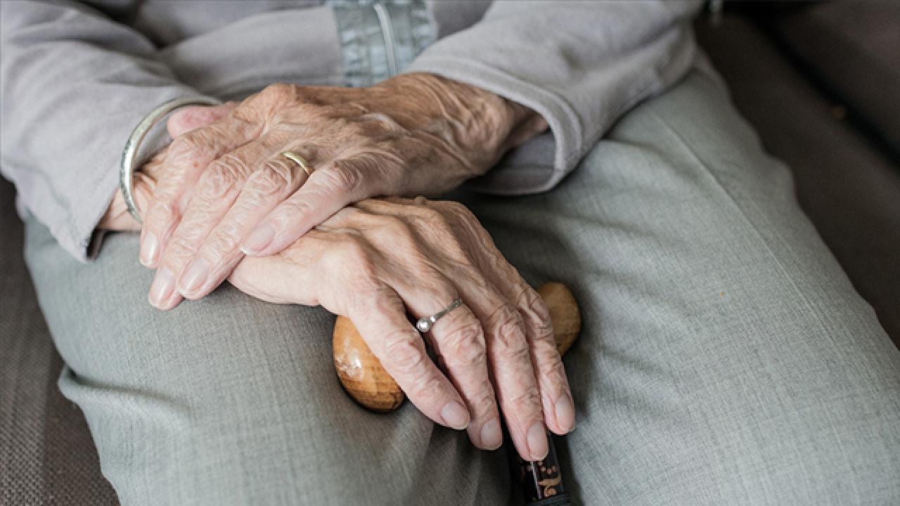 Dünya Yaşlılar Günü kapsamında 81 ilde eş zamanlı yürüyüş yapılacak