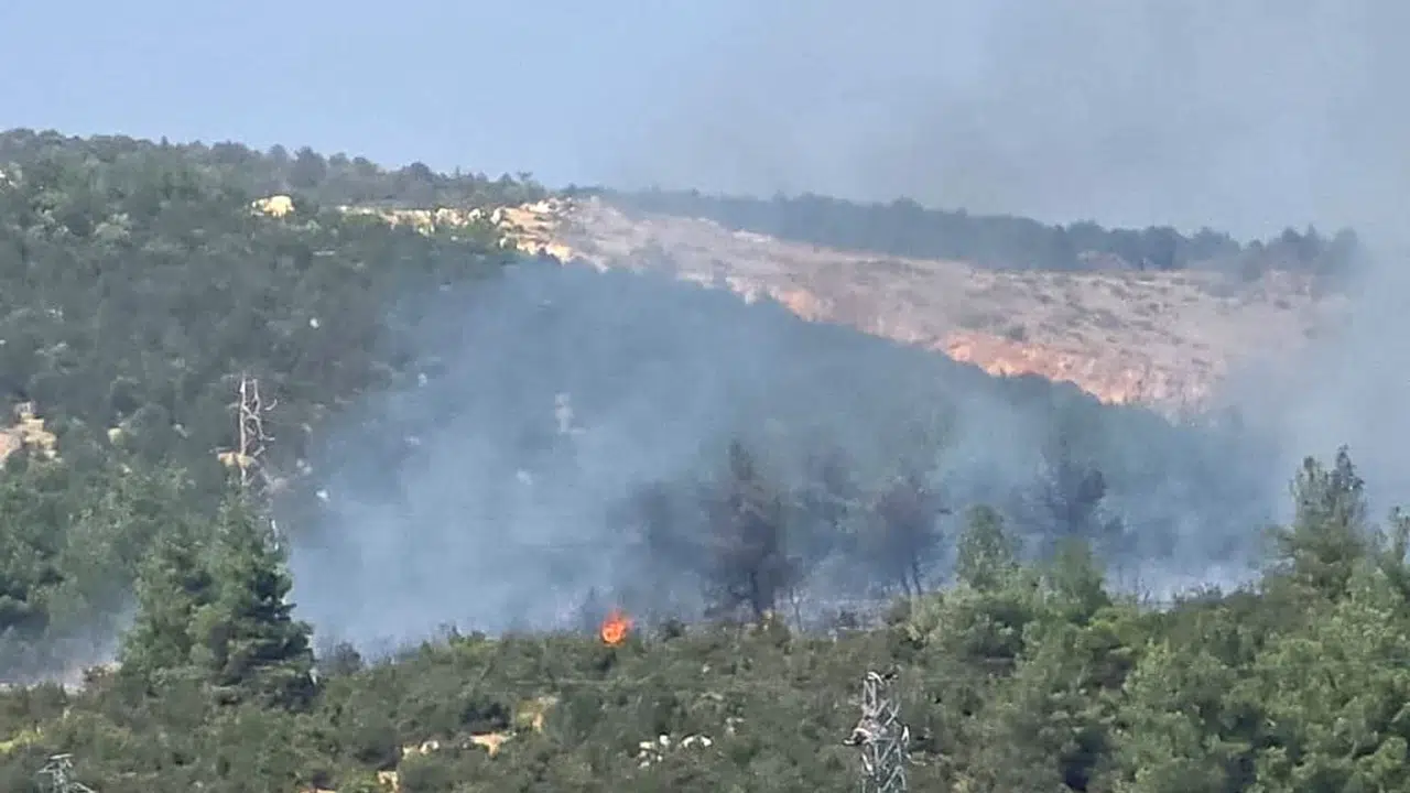 Bilecik Vezirhan'da çıkan orman yangını kontrol altına alındı