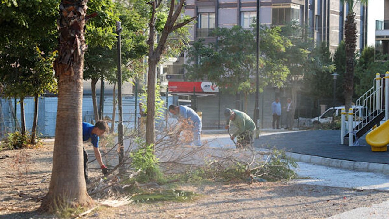 Buca'da park ve yeşil alanlar için kapsamlı bakım çalışması başlatıldı