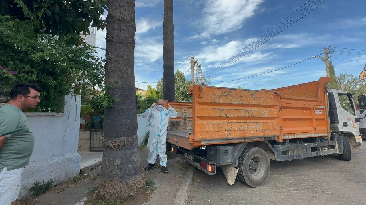 Marmaris'te bir daireden bir kamyon çöp ve çok sayıda kedi çıkarıldı