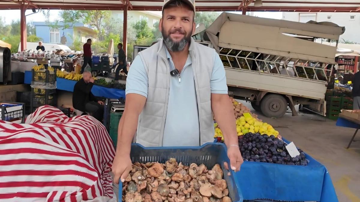 Serik'te yaylalardan toplanan çıntar mantarı satışa sunuldu