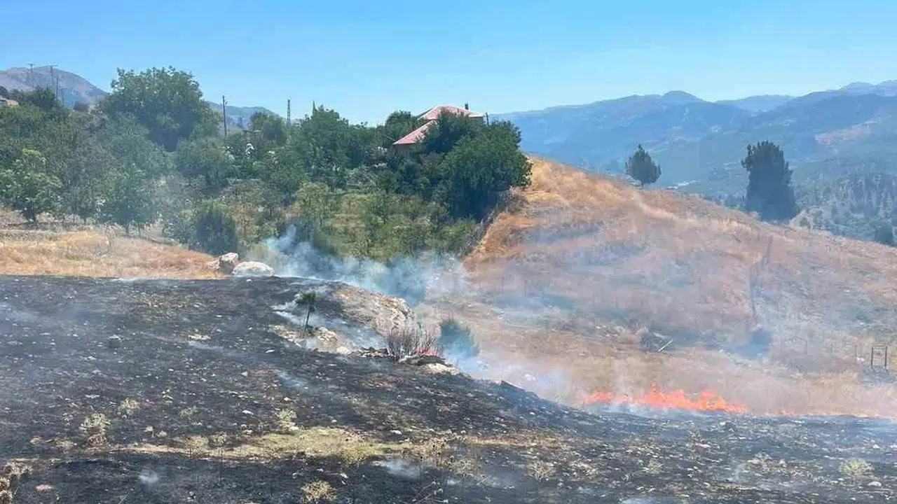 Alanya'da zirai alanda çıkan yangın 4 dönümlük araziye zarar verdi