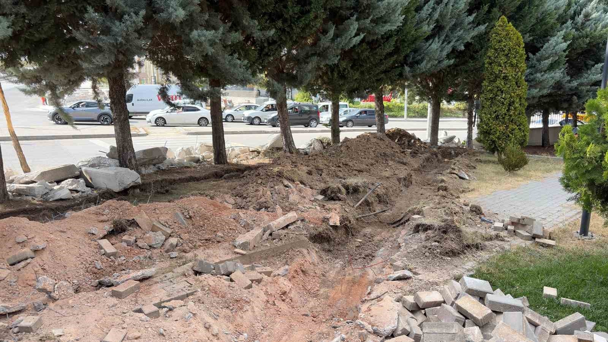 Ankara'da yol çalışması kapsamında kesilecek ağaçlar için tepki gösterildi