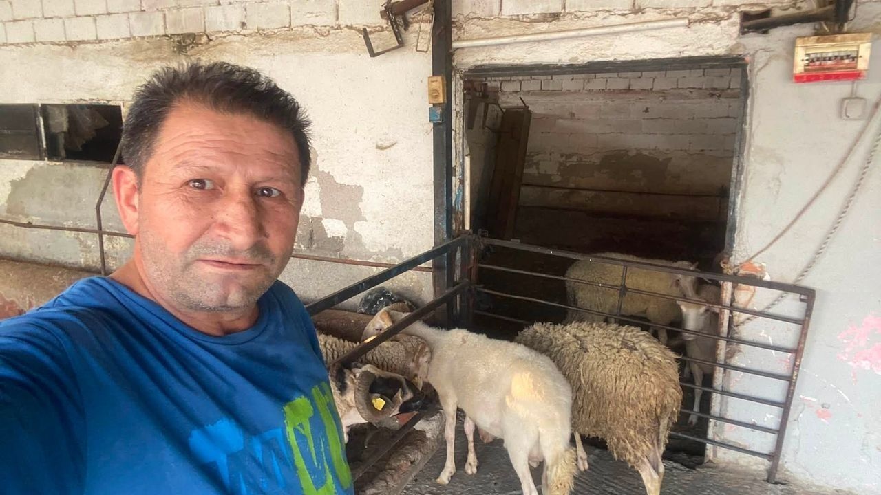 Aydın'da şap hastalığı riski nedeniyle tüm hayvan pazarları kapatıldı