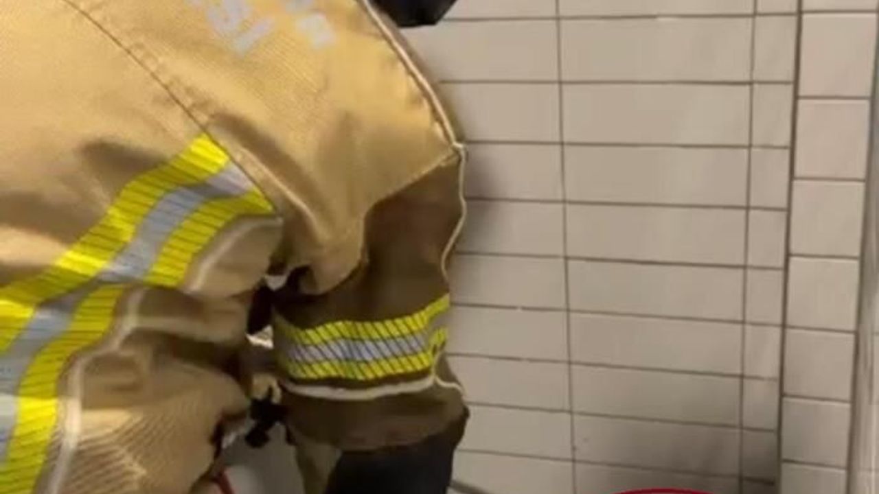 Diyarbakır'da petrol istasyonuna giren 2,5 metrelik yılan yakalandı