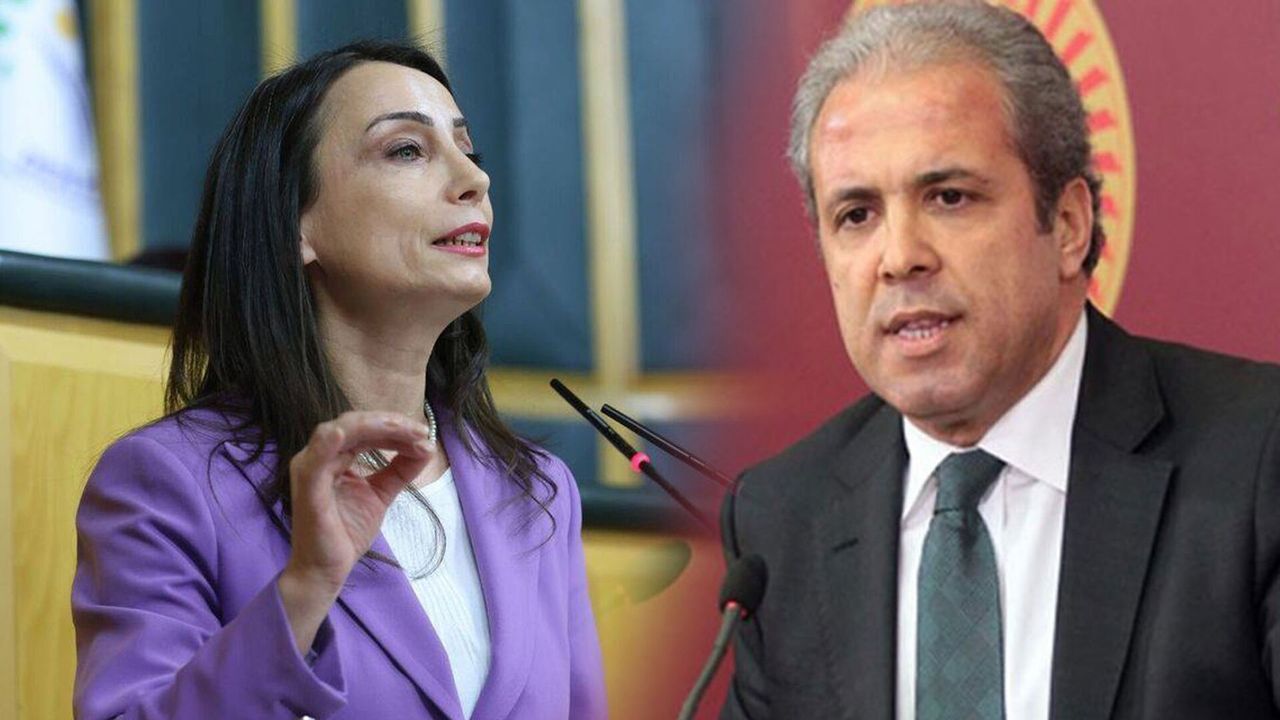 Şamil Tayyar'dan DEM Parti'ye silah bırakma çağrısı