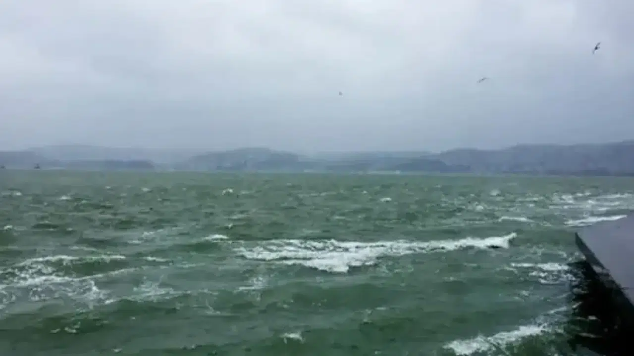 Beykoz'un Karadeniz kıyılarında denize girmek iki gün süreyle yasaklandı