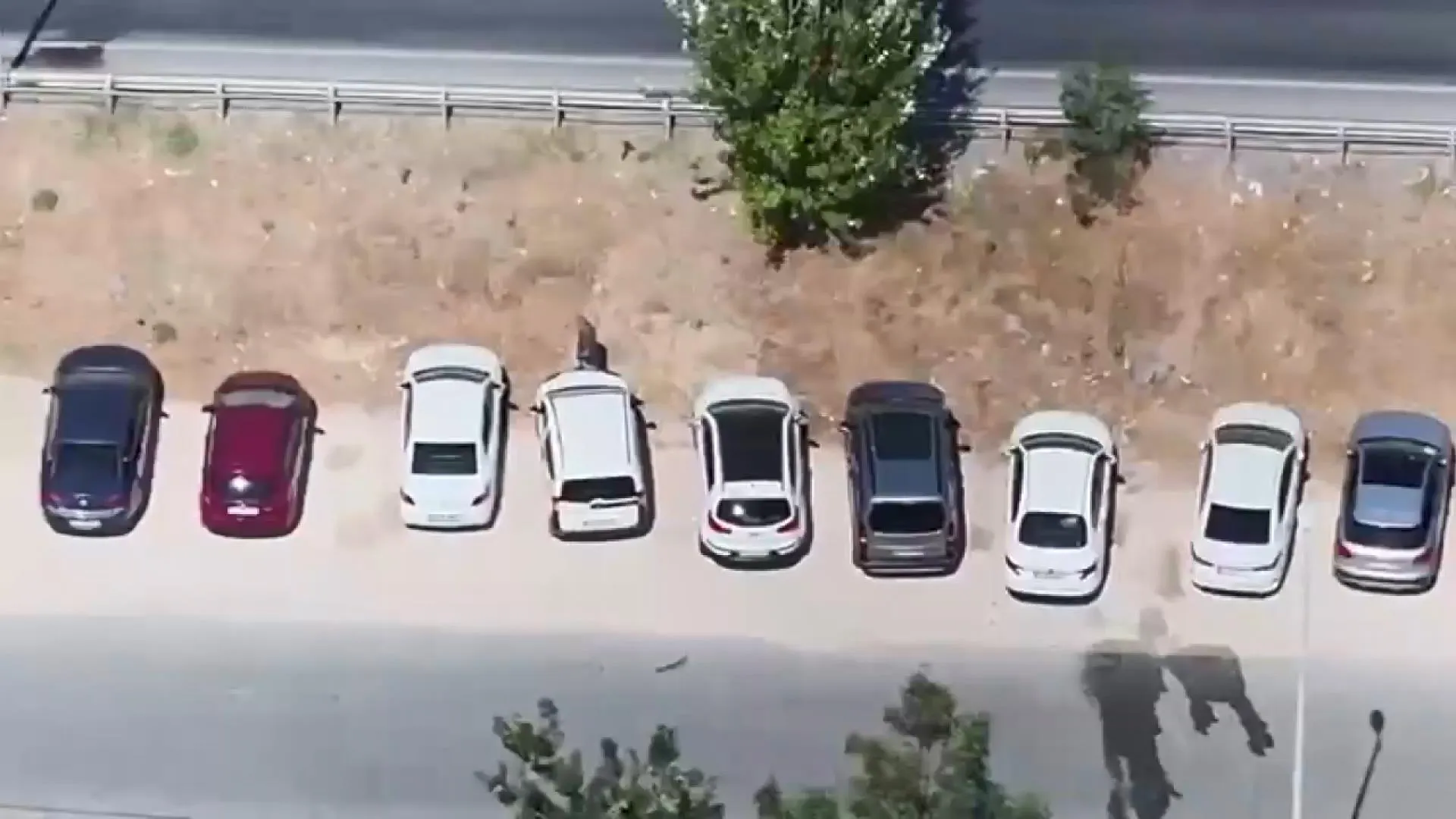 Büyükçekmece'de dron destekli operasyonla iki hırsız suçüstü yakalandı