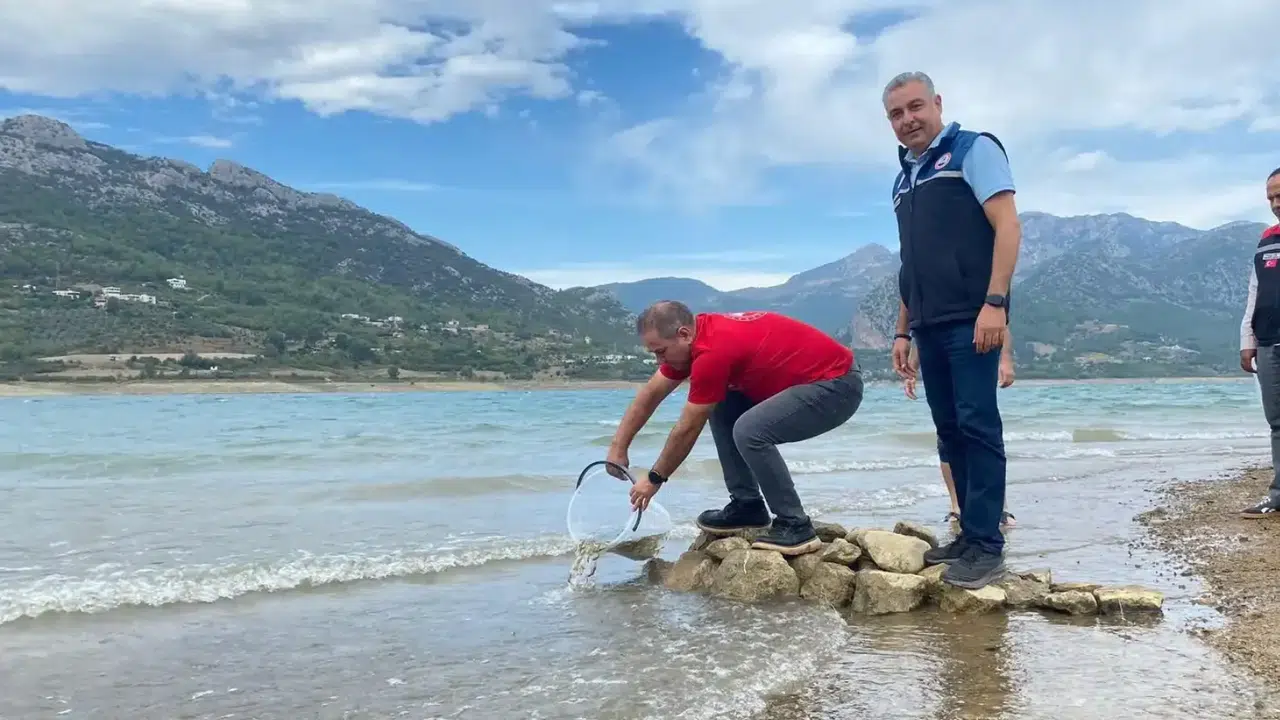 Kozan'da su kaynakları 665 bin sazan yavrusuyla zenginleştirildi
