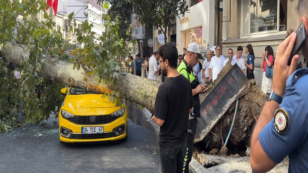 Şişli'de devrilen ağaç iki aracın üzerine düştü