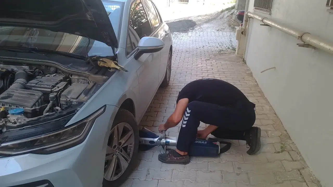 Hatay'da mahsur kalan iki kedi ekiplerce kurtarıldı